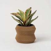 Cache-pot éco-conscient en impression 3D, fabriqué au Québec